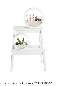 Modern Step Stool With Planters On White Background