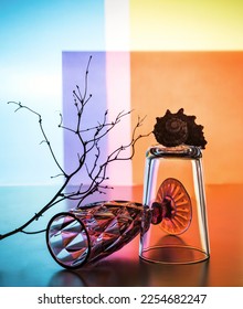 Modern still life with glass beakers, a dry branch and a shell. - Shutterstock ID 2254682247