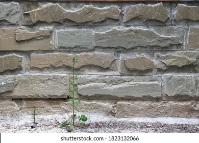 Modern stone brick wall tile texture. Rough outdoor decorative slate. Masonry mixed block facing background, real rock tile surface with cement. Cladding of buildings with natural materials.