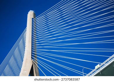 Modern structural design of an urban cable-stayed bridge against a clear blue sky