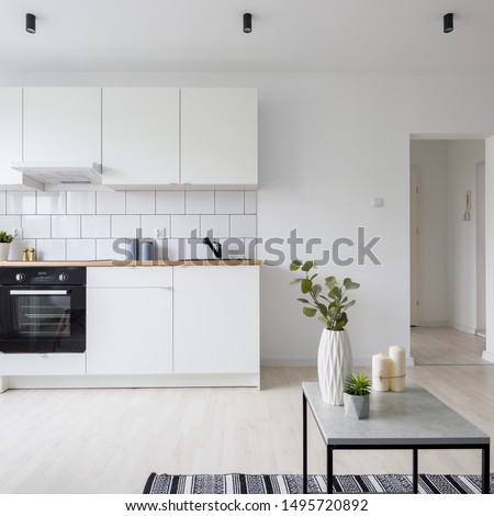 Modern studio apartment in white with functional kitchenette
