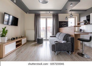 Modern Studio Flat With Dropped Ceiling And Gray Couch