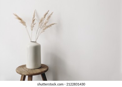 Modern summer, fall still life photo. Grey ceramic vase with dry festuca grass on old wooden stool. White wall background. Empty copy space. Elegant lifestyle decorative scene. Trendy interior decor.
