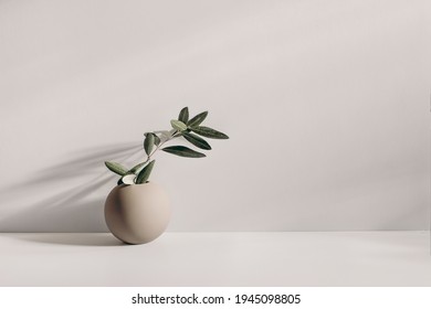 Modern summer still life photo. Beige ball shaped vase with green olive tree branch in sunlight with long shadows.Beige table wall background. Empty copy space. Elegant lifestyle Mediterranean scene. - Shutterstock ID 1945098805