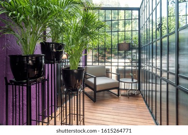 Modern Sunroom With Chic Furnitures And Some Plants