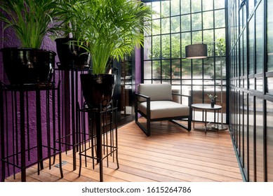 Modern Sunroom With Chic Furnitures And Some Plants