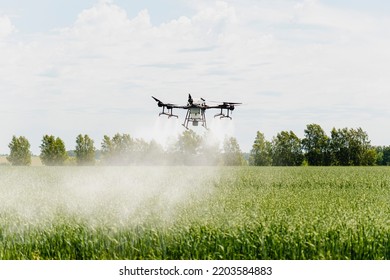 Modern technologies in agriculture. An industrial drone flies over a green field and sprays useful pesticides to increase productivity and destroys harmful insects. increase productivity - Shutterstock ID 2203584883