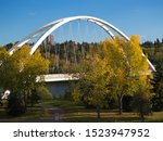 Modern through arch bridge against autumn leaves