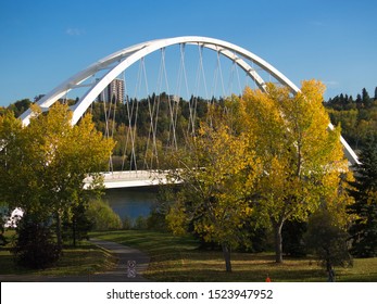 Modern Through Arch Bridge Against Autumn Leaves