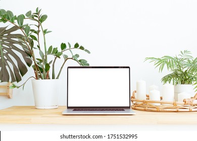 Modern Trendy Home Office Workplace With Green Plants And Boho Interior Decor Background. Still Life Composition