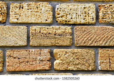Modern Unique Background Shell Texture Stock Photo 1582505260 ...