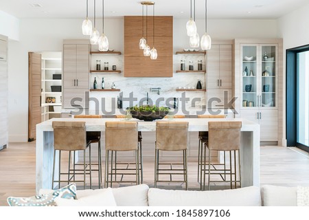 Modern Updated Beautiful Kitchen Design