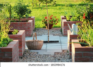 A Modern Vegetable Garden With Raised Briks Beds . .Raised Beds Gardening In An Urban Garden Growing Plants Herbs Spices Berries And Vegetables .