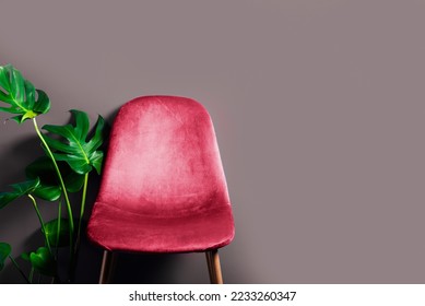 Modern Velour Chair Viva Magenta, color of the year 2023on wooden legs, grey background - Shutterstock ID 2233260347