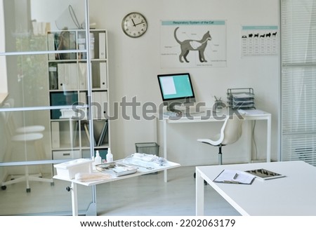 Modern vet clinic with workplace