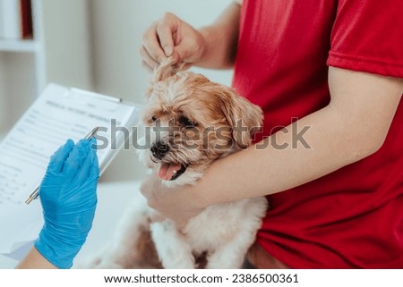 Modern veterinary clinic: female veterinarian assesses dog's health Handsome dog owner helps calm pet
