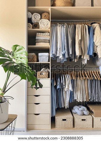 Modern wardrobe with stylish women's clothing. Concept of decluttering, organizing and tidiness in closet
