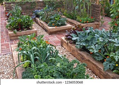 A modern well planned vegetable garden with raised beds and assorted vegetables
