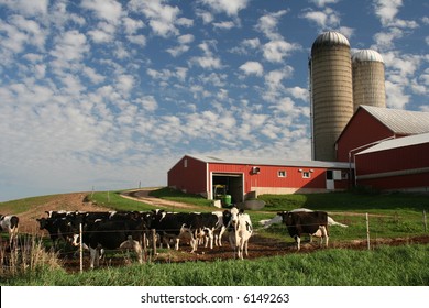 Modern Wisconsin Dairy Farm With Cows