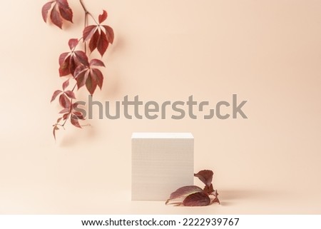 Modern wooden cube podium with branches at light background. Scene stage showcase front view with copy space