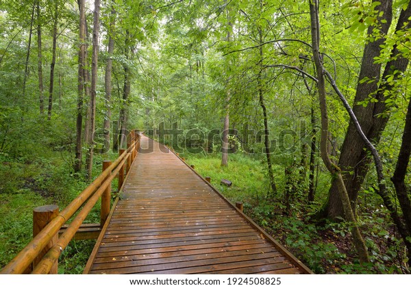 Modern Wooden Winding Pathway Boardwalk Through Stock Photo 1924508825 ...