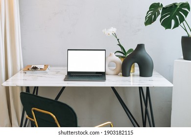 Modern workplace with an open laptop with white screen and green monstera on the marble table, mock up, template
