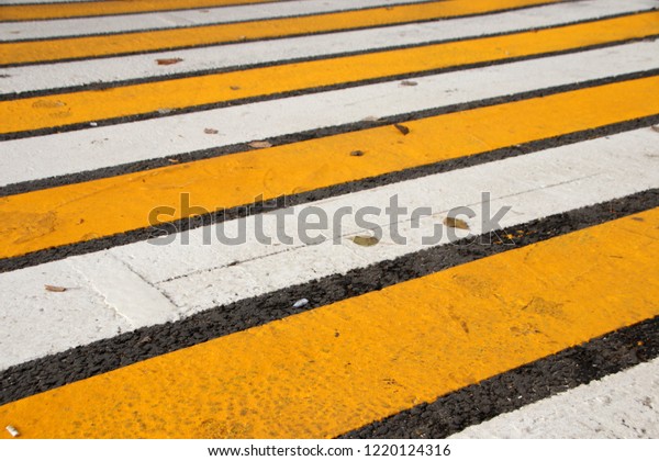 Modern yellow and white zebra crossing in the autumn\
Russian city