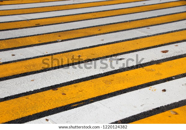 Modern yellow and white zebra crossing in the autumn
Russian city