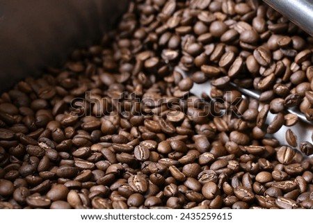 Modernizing Coffee Production: Enhanced Preservation with Grain Chiller