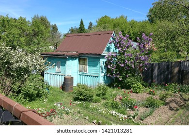 Modest Suburban Area With A House And Lilac Blossoms, Shot In Russia, In The Vicinity Of Yaroslavl