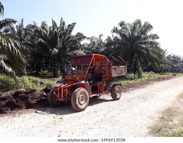 modify car in peatland, palm oil plantation\
worker use this car for\
fertilization