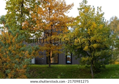 Similar – Image, Stock Photo red-leaf Sky Autumn Tree