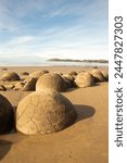 The Moeraki Boulders (officially Moeraki Boulders - Kaihinaki) are unusually large spherical boulders lying along a stretch of Koekohe Beach on the wave-cut Otago coast of New Zealand.