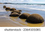 At the Moeraki Boulders, spherical rocks on the beach, near Otago, New Zealand