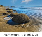 The Moeraki Boulders are unusually large spherical boulders lying along a stretch of Koekohe Beach on the wave-cut Otago coast of New Zealand between Moeraki and Hampden.