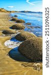 The Moeraki Boulders are unusually large spherical boulders lying along a stretch of Koekohe Beach on the wave-cut Otago coast of New Zealand between Moeraki and Hampden.