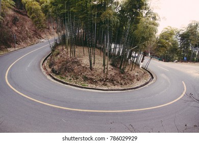 Moganshan Forest Road Hairpin