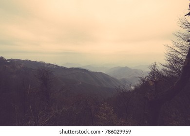 Moganshan Mountain View From Forest