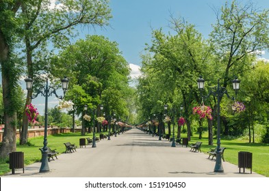Mogosoaia Public Park Alley In Bucharest, Romania.