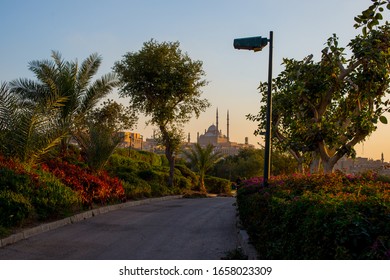 Mohamed Ali Pasha Castle From Al Azhar Park In Cairo In The Sunset. Al Azhar Park In The Sunset With Pink Flowers. Spring In Al Azhar Park In Cairo