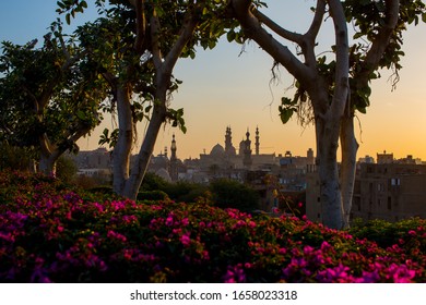 Mohamed Ali Pasha Castle From Al Azhar Park In Cairo In The Sunset. Al Azhar Park In The Sunset With Pink Flowers. Spring In Al Azhar Park In Cairo