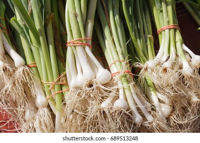 Mohawk Valley, New York State - Scallions, USA