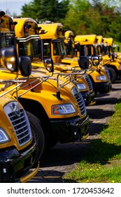 Mohnton, PA / USA - May 2, 2020: A line of parked school buses in a parking lot in Berks County, Pennsylvania.