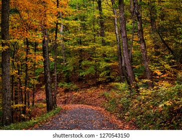 Mohonk Preserve NewYork