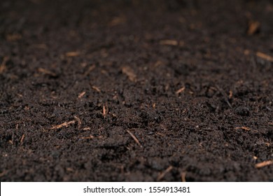 Moist Soil With Shallow Depth Of Field