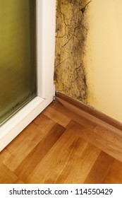 Moisture And Mold -Problems In A House