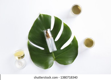 Moisturizing care skincare face cream for healing complicated troubled skin type in an open jar with visible texture. Copy space, close up, background, flat lay, top view. Monstera leaf decoration.