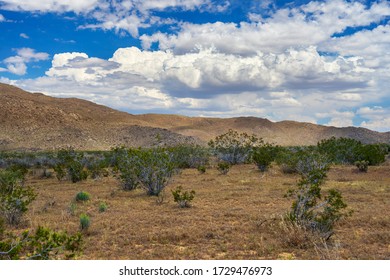 Mojave Desert Landscape View In The Lucerne Valley In California