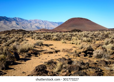 Mojave National Preserve