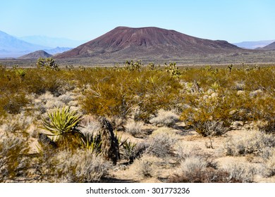 Mojave National Preserve